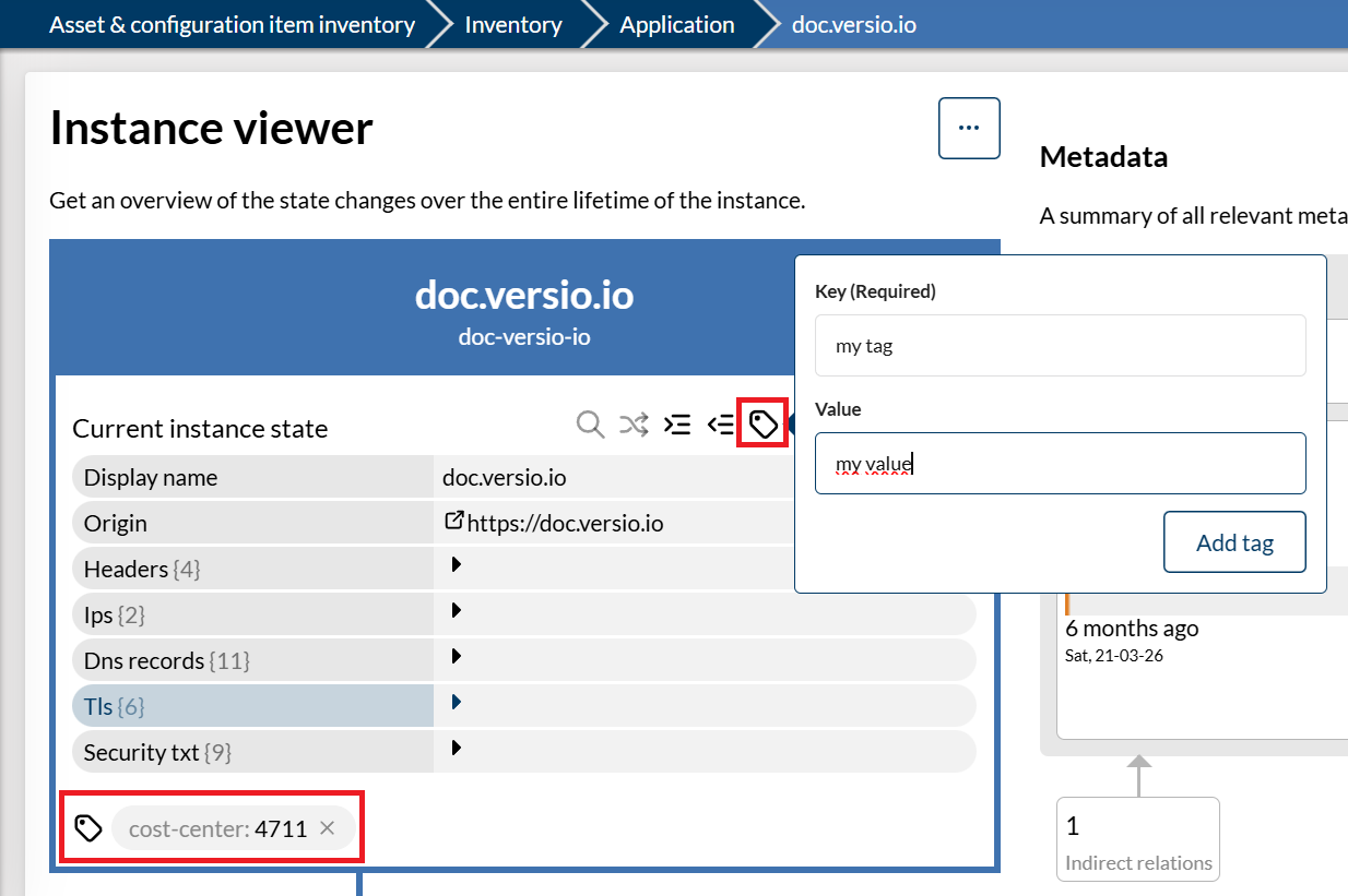 Manual tagging in the instance viewer